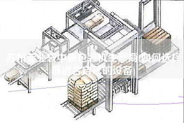 蘇州專業袋中袋包裝機生產商(如何選擇z適合自己的設備)