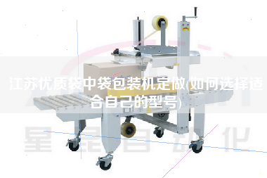 江蘇優質袋中袋包裝機定做(如何選擇適合自己的型號)