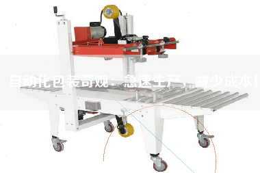 自動化包裝奇觀：急速生產，減少成本！