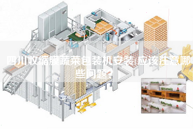 四川收縮膜蔬菜包裝機(jī)安裝(應(yīng)該注意哪些問(wèn)題？)